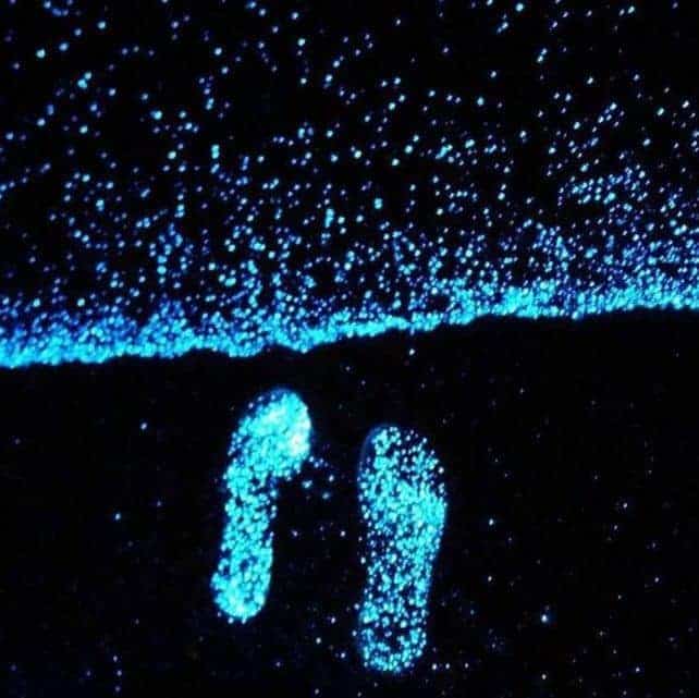 Des pas dans une lumière bleu à la surface de l'eau