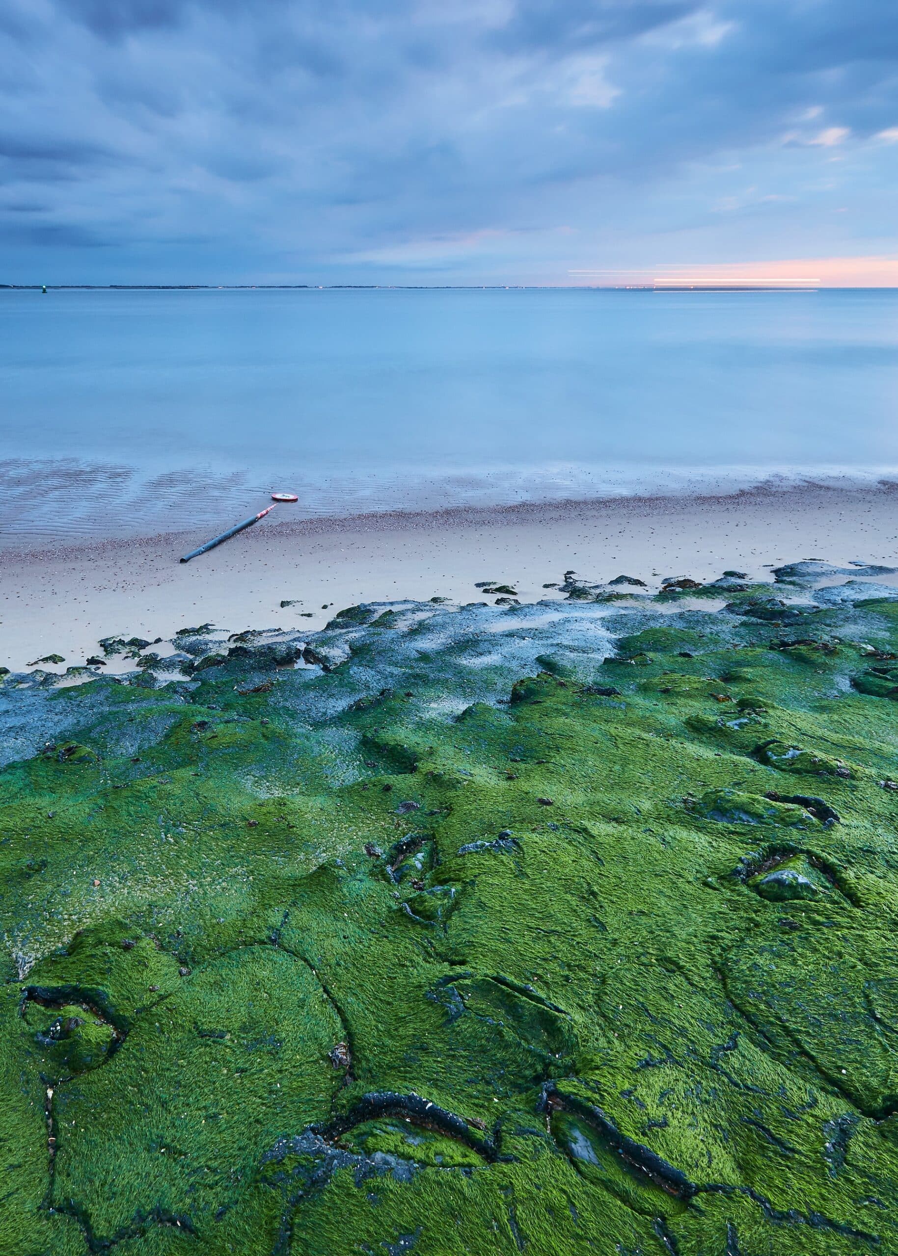 plage avec des algues vertes