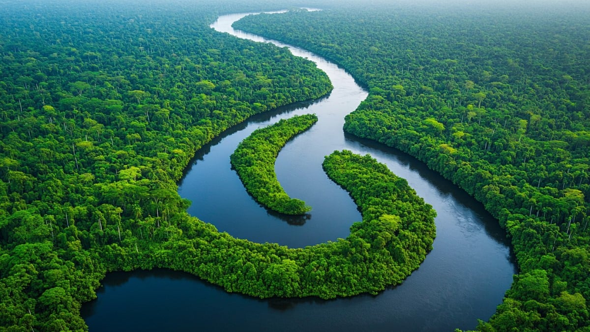 Fleuve serpentant en Amazonie