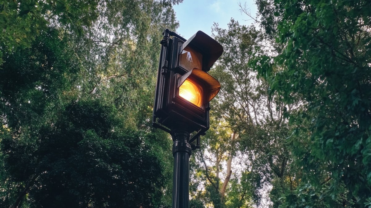 Feu jaune dans la nature