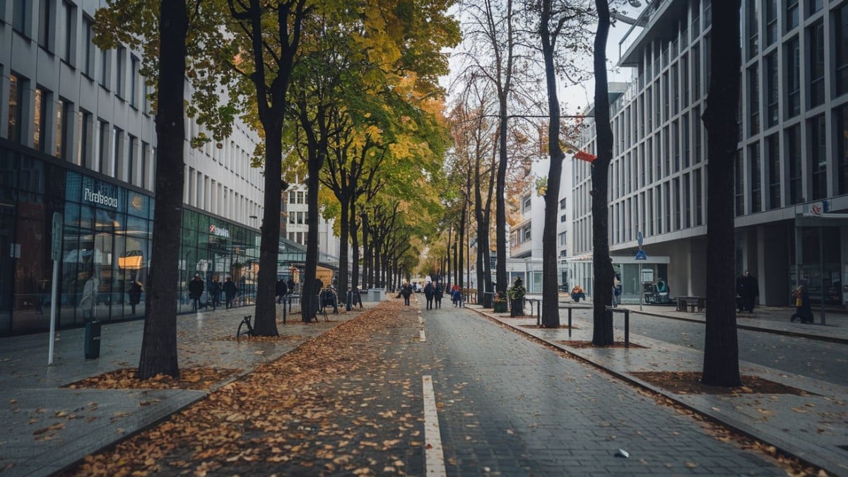 Avenue arbres centre-ville automne