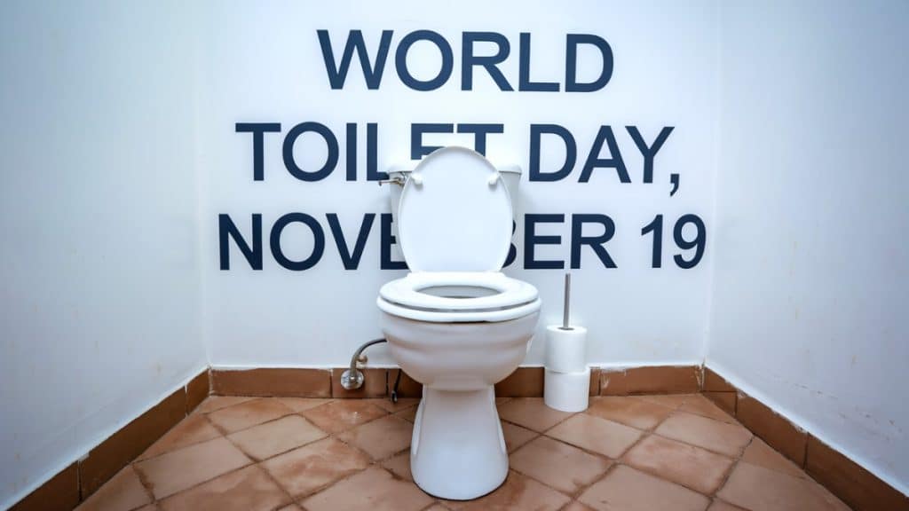 Journée Mondiale des toilettes, 19 novembre