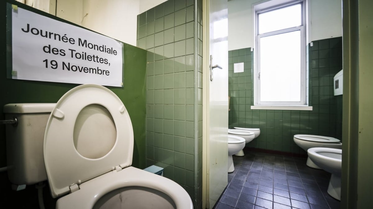 Toilettes publiques, journée mondiale